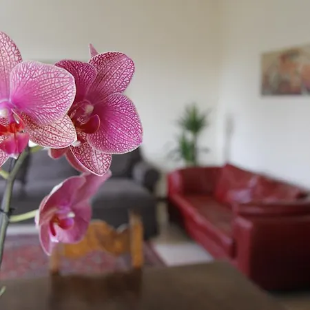 Casa Farinati Апартаменты *